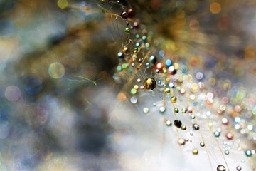 rain drops on glass