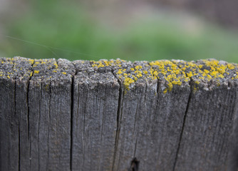 The upper part of the fence in the village