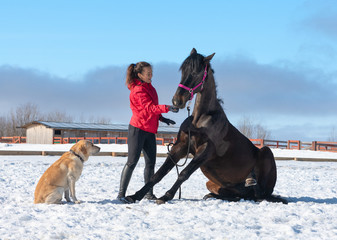 One Caucasian women is encouraging her trained horse in outdoor in winter.