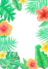 tropical exotic leaves and flowers frame. palm leaves, hibiscus and plumeria. hand drawing colored pencils illustration. isolated elements