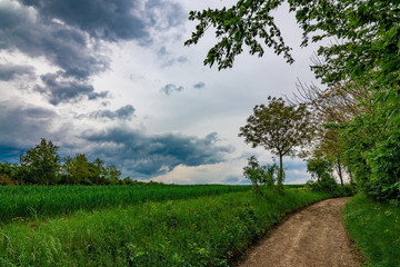 The path in the green fields with the dark, stormy clouds in the background