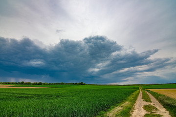 The path in the green fields with the dark, stormy clouds in the background