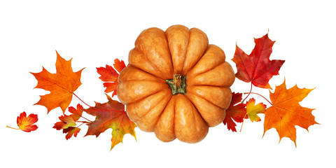 Round pumpkin with autumn colorful leaves