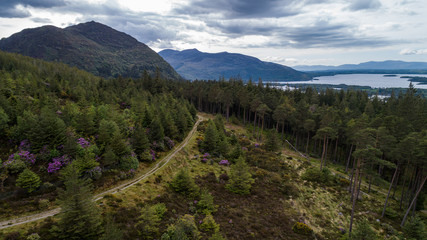 Hiking trail through mountian forest landscape of Killarney national park in county Kerry, Ireland