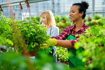 Two women working in a botanical garden