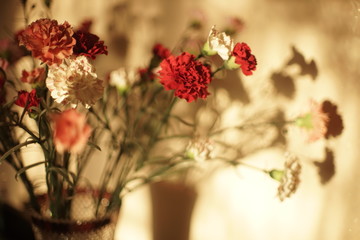 Lush bouquet of flowers asters with beautiful light and shadow