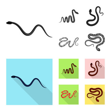 Vector design of mammal and danger logo. Collection of mammal and medicine stock vector illustration.