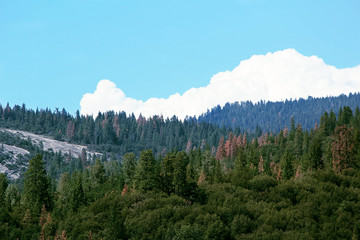 morning in the mountains