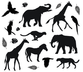 Vector flat black set collection of african animals silhouette isolated on white background 