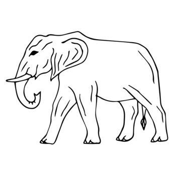 Vector hand drawn doodle sketch elephant isolated on white background