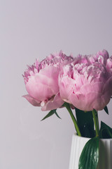 Pink peony flower beautiful bouquet on a white background