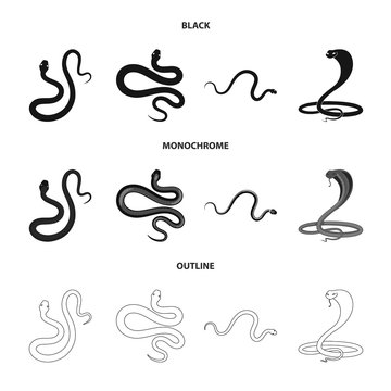Vector design of mammal and danger logo. Collection of mammal and medicine vector icon for stock.