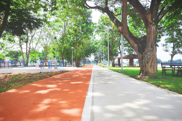 bicycle path in the park
