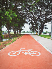 bicycle path in the park