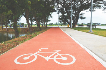 bicycle path in the park