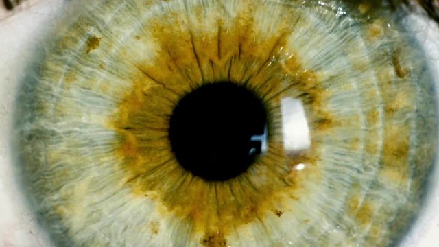 Female Green Eye Close Up Extreme Macro Zoom In Iris