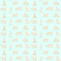 pattern seamless set of cute cat element. vector illustration eps10