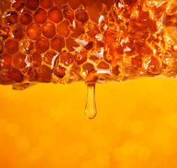 Honey dripping from comb on color background, closeup. Space for text