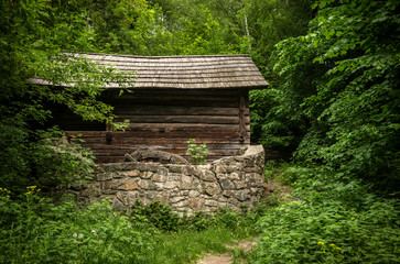 Old abandoned water mill in the wild Ukrainian forest