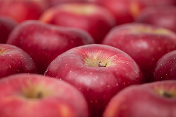 Fototapeta na wymiar Grupo de manzanas roja en fondo blanco