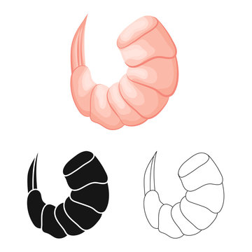 Vector Design Of Prawn  And Creature  Symbol. Set Of Prawn  And Fresh  Vector Icon For Stock.