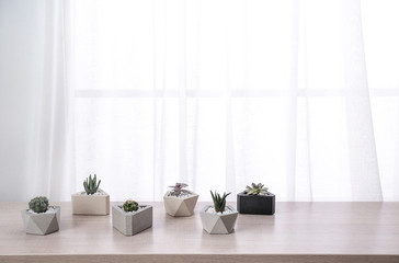 Fototapeta na wymiar Different plants in pots on window sill, space for text. Home decor