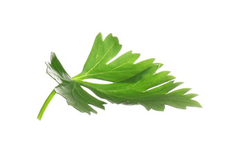 Fresh green organic parsley on white background