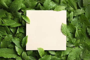 Blank card on spring green leaves, top view. Space for text