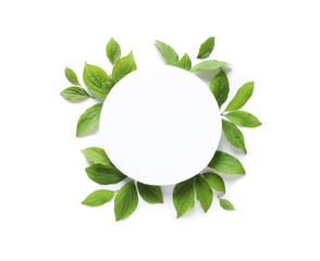 Blank card and spring green leaves on white background, top view. Space for text