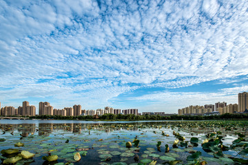 The blue sky and white clouds over the city park take pictures at sunset.