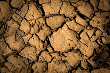 dry cracked earth