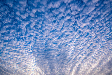 The blue sky and white clouds over the city park take pictures at sunset.