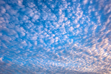 The blue sky and white clouds over the city park take pictures at sunset.