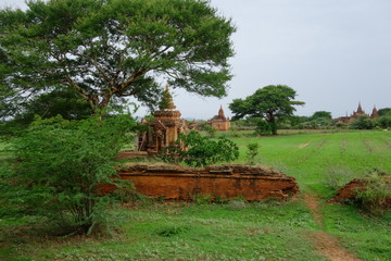 Bagan