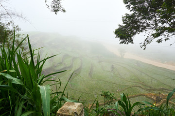 Fogy Landscape of Ricefields in lao chai sapa valey in Vietnam. Sapa, Vietnam.- 22. Mai. 2019.