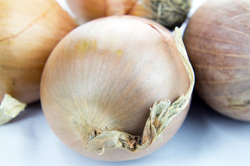Beautiful golden onions close-up.