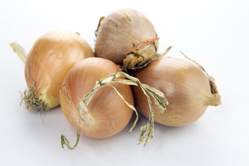 A pile of unpeeled onions. Golden beautiful bulbs on a gray background.