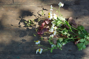 rustic still life. bouquet with daisies on the background of an old wooden Board