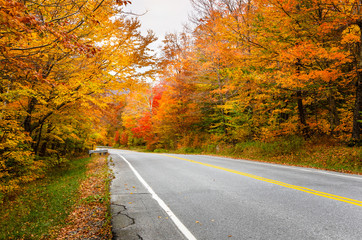 Scenic back road through a colourful autum forest. Countryside of Vermont, USA