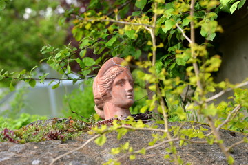 Terracottakopf im Garten