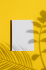 Summer yellow background. Tropical leaf shadow on a blank white label