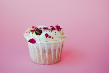 Sweet dessert on pink background, copy space. Cupcake with cream, beautiful and delicious.