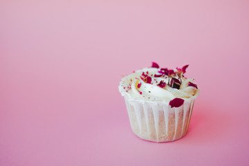 Sweet dessert on pink background, copy space. Cupcake with cream, beautiful and delicious.
