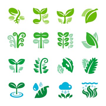 plant and leaf icon set,vector and illustration