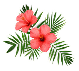 tropical floral composition