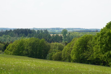 Obraz premium Ascheid