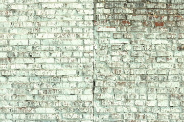 pattern of birch bark with black birch stripes on white birch bark and with wooden birch bark...