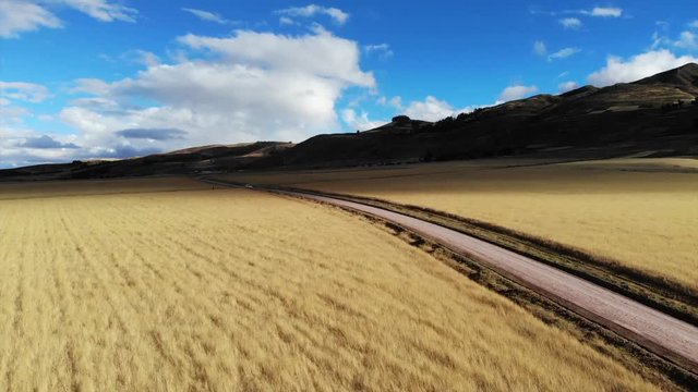 Cinematic Drone Aerial of Picturesque Wheat Fields Landscape in Sacred Valley Valle Sagrado Salinas De Maras Peru South America Near Picas Moray Machu Picchu Inca Empire Ruins With Beautiful Skyline