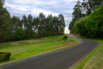 Paved road with sharp curves in a forest in a small town in A Coruña Spain.