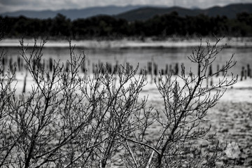 Nature Salt Flat Cabo Rojo Puerto Rico